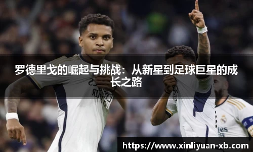 yy易游